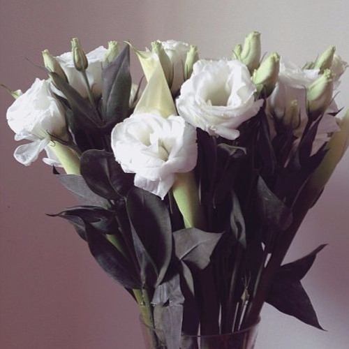 Nhạc của anh ^^