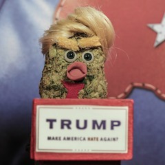 The Trump Boogie (Kid Rock Parody) - By MF Ruckus