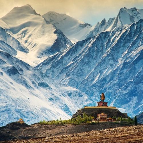Eleve - Qinghai