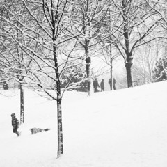 Птица Говорит - Хорошим