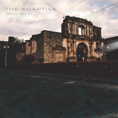 In The Branches - We Are Limitless (The Adaptive's Low Sun Remix)