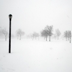 Paul Peanuts - Liveset@Whiteout