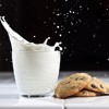 News Show: How about a nice tall glass of cockroach milk?
