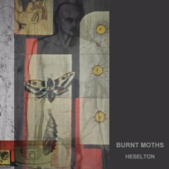 BURNT MOTHS (completed Album August 29th 2016