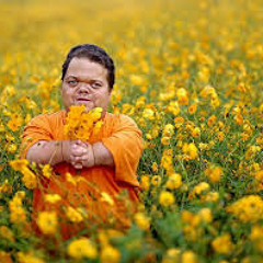 SOS - UNGREATFUL DEAD (HYBRID, GRIM, J)