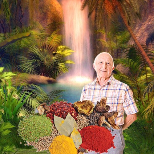 Morfar Ginkos Krydda