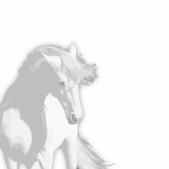 White Horse - SMRD & In:most