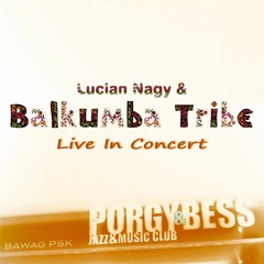 Live in Vienna (State Of Soul Segment)