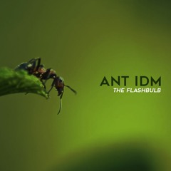 Ant IDM
