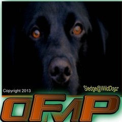 Cheap Thrills Remix ft Sia & Sean Paul