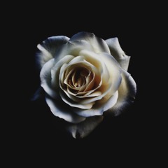 Never Forget You (B I Z A Remix) - Zara Larsson (Feat. MNEK)