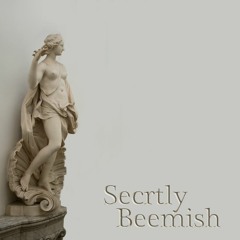 Secretly (Ipad Demo)