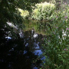 Loop : Across the stream