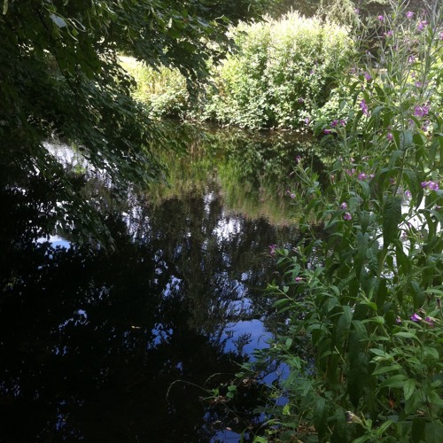Loop : Across the stream