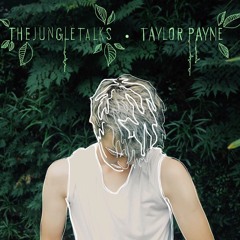 TAYLOR PAYNE - The Jungle Talks