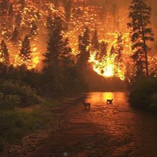 Skogbrann (Lost In The Fire Mix)