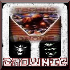 Technodrome Classics (Vinyl Mix) - DJ Brownie