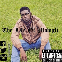 The Life Of Mowgli (Dancehall Mix)