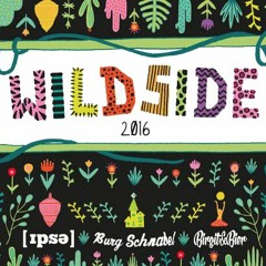 Birgit&Bier x Burg Schnabel x IPSE x Wildside Festival 2016 x Schappo Klack Roth DJ Set