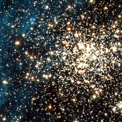 SpaceForrest