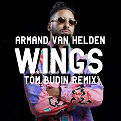 Armand Van Helden - Wings (Tom Budin Remix) [FREE DOWNLOAD HIT BUY]