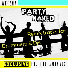 Party Naked - Instrumental 1 of 2 (for djs - 134 bpm - d minor)