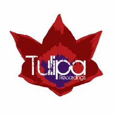 Tiger Rose feat. Gabriel Ananda - Thinking Of Satie (Daso Remix)