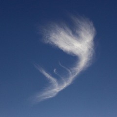 Featherleicht