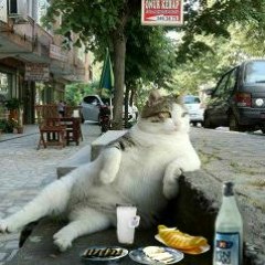 MIDI Sans Frontières (duble Raki Mix)