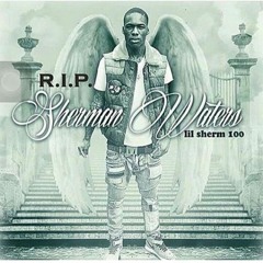 Night after Night(#longlivesherman tribute)