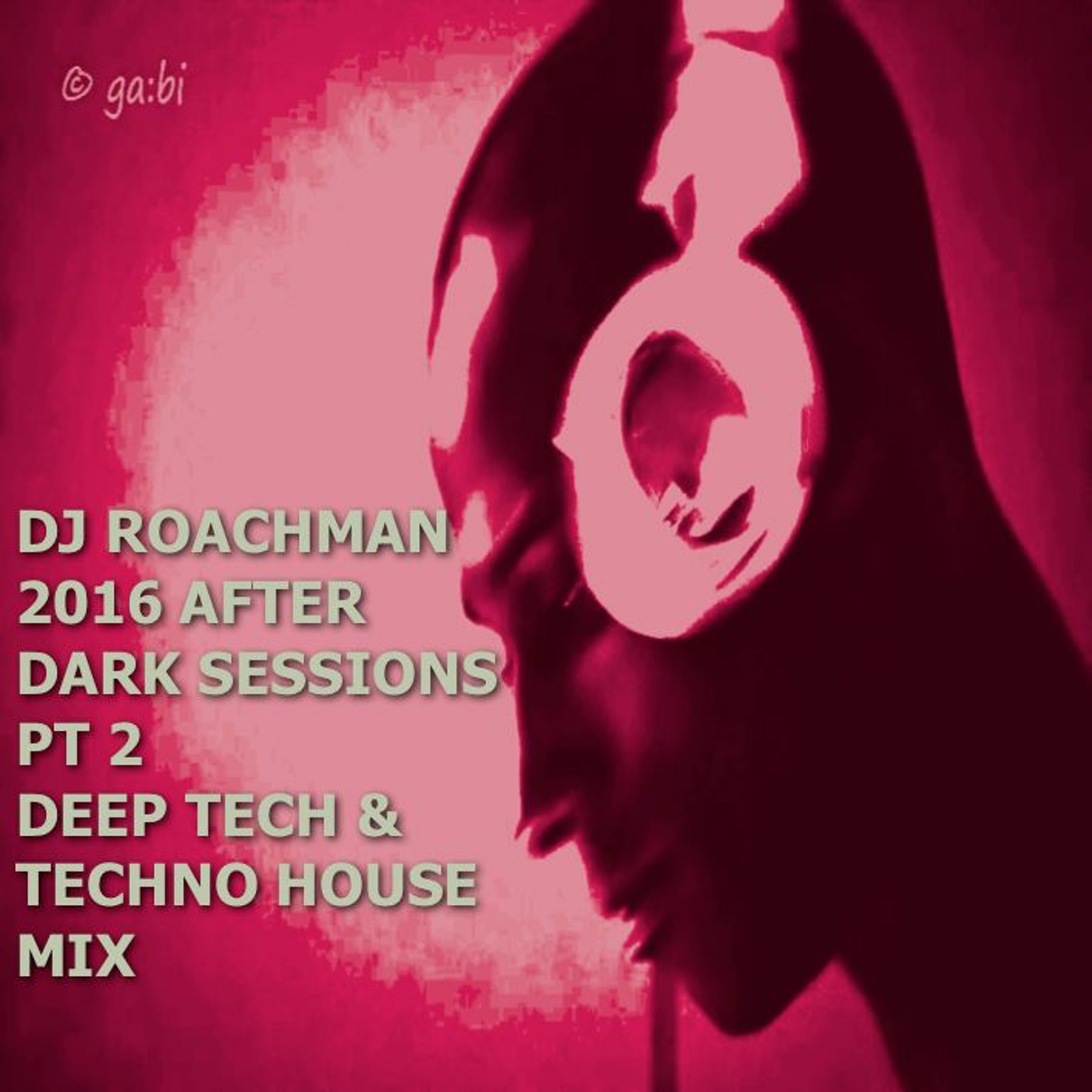 DJ Roachman