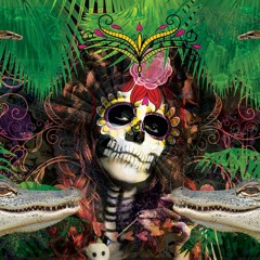 Live set. Shambala. Madame Bayou's