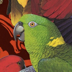 Birds Of A Feather Mixtape (continuous mix version)