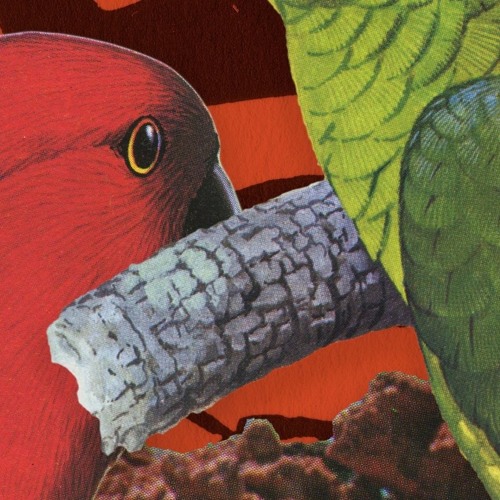 02 Collard Greens Ft Jordan Rakei