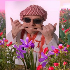 PS Troika - Meil Aiaäärne Tänavas