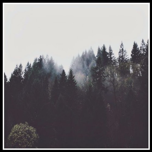legends never die w niteboi by shikari free listening legends never die w niteboi by shikari free listening