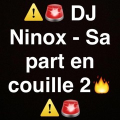 Dj Ninox - Sa Part En Couille 2