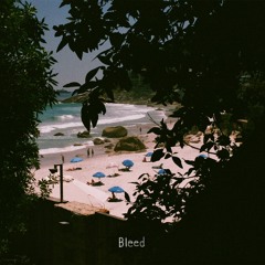 Bleed EP