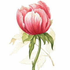 (mashup)officiallly missing you & pandangan pertama