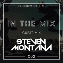 IN THE MIX #002 Guest Mix: StevenMontana