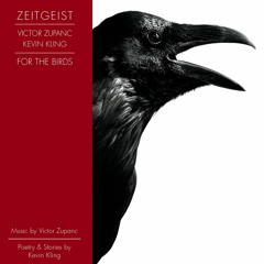 Zeitgeist - For The Birds - 11 - Canadian Geese