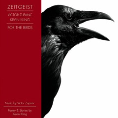 Zeitgeist - For The Birds - 14 - Hawk