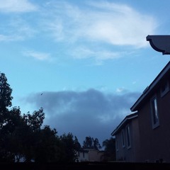 Perfekt Storm