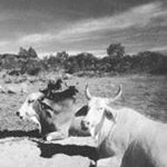 BOBOCLAT_PART2_EDIT1