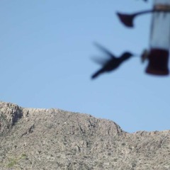 Intro (You are the Ground)