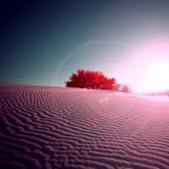 Desert Rose (Hour of Will Remix)