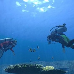 Fun Exploring the Ocean Floor