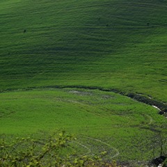 Pastoral Smorgasbord