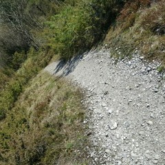 170er One Pattern du Bitch !