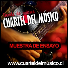 LOS NORRIS - Muestra Ensayo